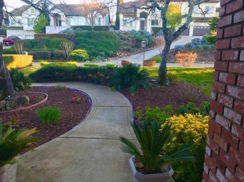 4189 Hensley Cir, Folsom CA 95762-4274 exterior