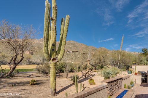 7141 Grey Fox Ln, Tucson AZ  85750-1376 exterior