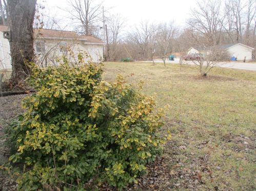 4717 High St, Spring Bluff MO 63080-2823 exterior