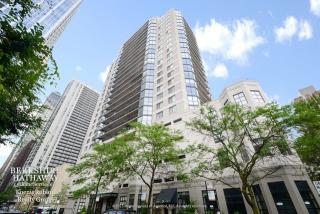 33 Delaware Pl, Chicago IL  60610-8115 exterior