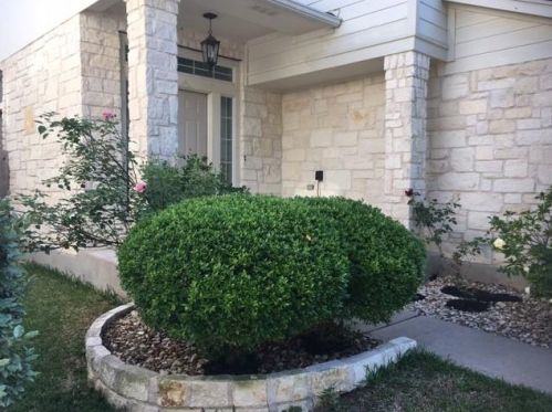 2209 Billy Fiske Ln, Austin TX  78748-2900 exterior