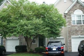 57 Battalion Dr, Basking Ridge NJ  07920-3844 exterior