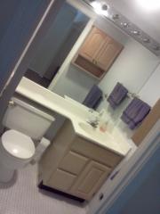 7721 Tremayne Pl, Mc Lean VA  22102-7700 exterior