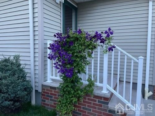 172 Grenville St, Woodbridge, NJ 07095-1834