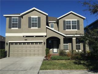 19241 Early Violet Dr, Tampa FL  33647-3684 exterior