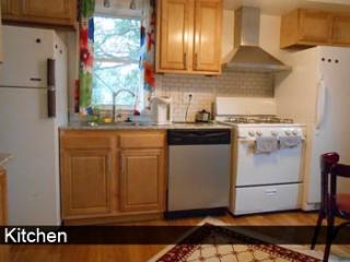 197 Raleigh St, Rochester NY  14620-4133 exterior