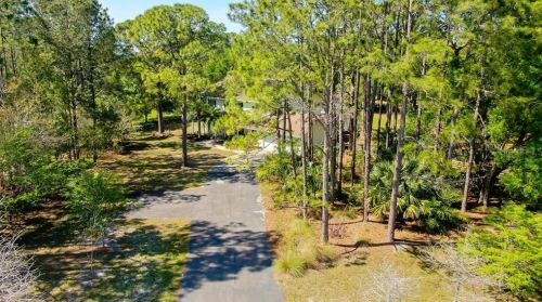 12216 Twin Br Acres Rd, Tampa FL 33626-3711 exterior