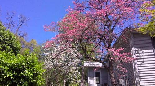 1 Lincoln Dr, Poughkeepsie NY 12601-6004 exterior