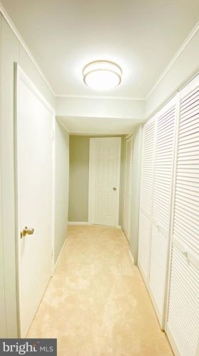 3304 Moline Rd, Silver Spring MD  20902-2231 exterior