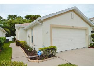 10034 Bucklin St, Tampa, FL 33625-4948