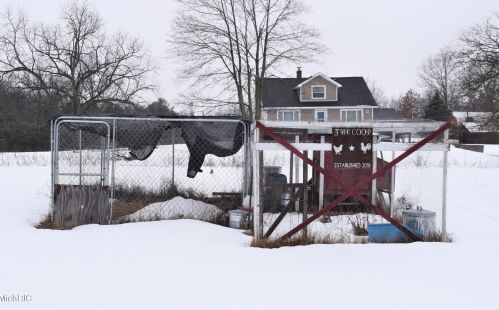 3105 Tillie Run, Cedar Springs MI 49319-9485 exterior