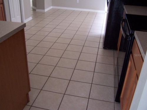 8111 Moccasin Trl Dr, Riverview FL 33578-8855 exterior