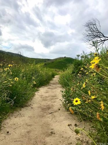 10723 Plumas Way, Tustin CA  92782-4305 exterior