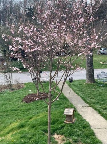 8 Casper Crk Rd, Poughkeepsie NY 12603-5004 exterior