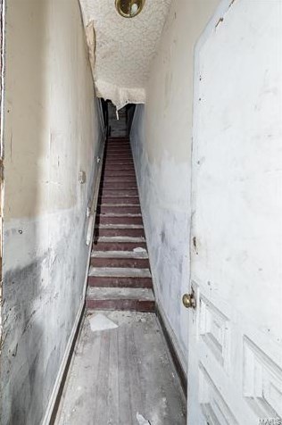 2635 Chippewa St, Saint Louis MO 63118-3835 exterior