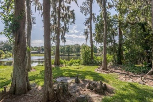 4124 Carrollwood Village Dr, Tampa, FL 33618-8626