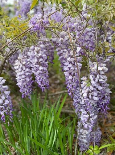 6 Jones Rd, Wallingford CT  06492-4305 exterior