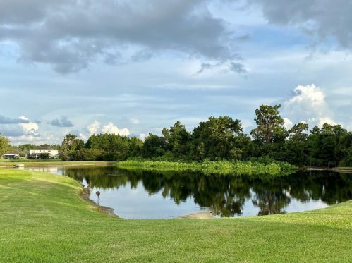 20127 Oakflower Ave, Tampa FL  33647-3649 exterior