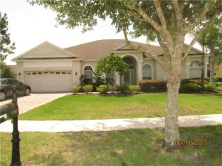 17367 Emerald Chase Dr, Tampa FL  33647-3516 exterior