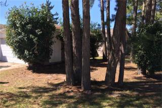 29007 Waltham St, Spring TX  77386-2465 exterior