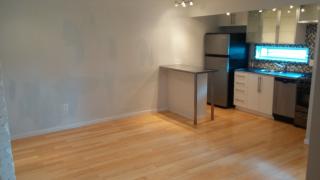 1824 Fox Way, Pittsburgh PA  15203-1732 exterior