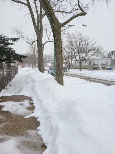 1150 88th St, Chicago IL 60620-5418 exterior