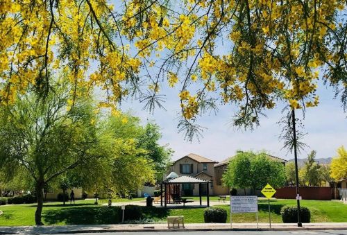 6911 8th Dr, Phoenix, AZ 85041-6756