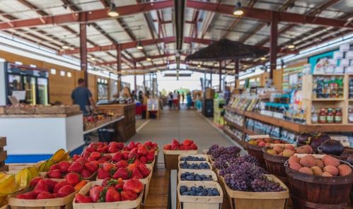 8711 6 St, Frisco TX 75033-4218 exterior