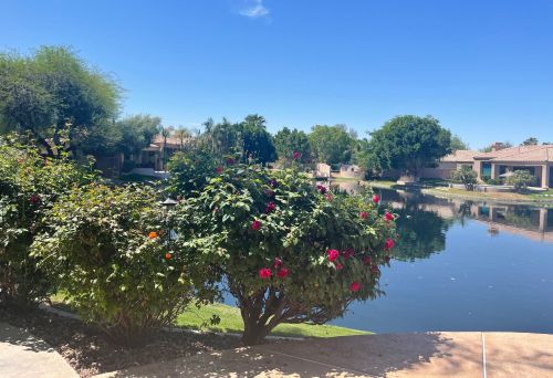 1642 Lynx Way, Chandler AZ 85249-3011 exterior