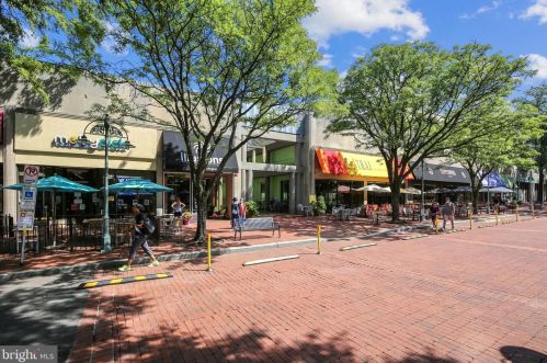 311 Kentucky Ave, Alexandria VA 22305 exterior