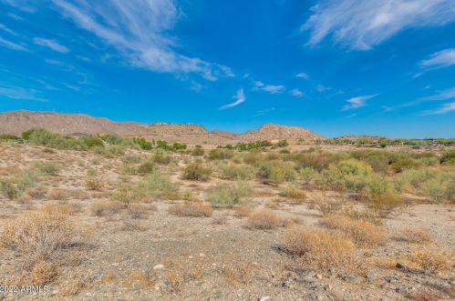 1004 Amberwood Dr, Phoenix AZ  85048-1937 exterior