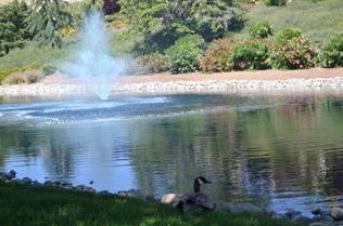 7835 Prestwick Cir, San Jose CA  95135-2143 exterior