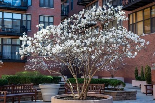 333 Hubbard St, Chicago IL 60654-4923 exterior