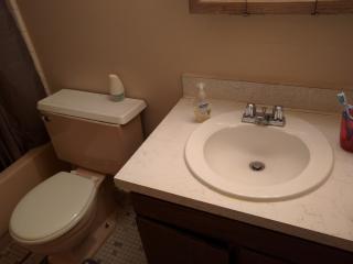 925 Church St, Ann Arbor MI  48104-3467 exterior