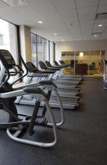 536 Forest Ave, Ann Arbor MI  48104-2575 exterior