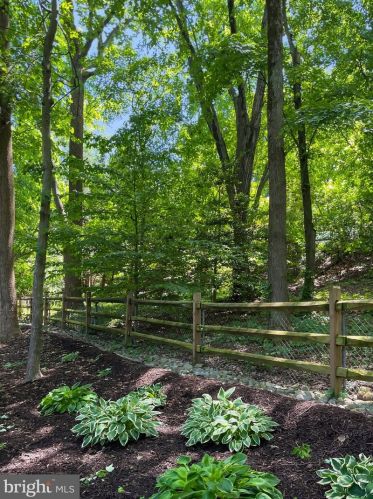 5823 Colfax Ave, Alexandria VA 22311-1013 exterior