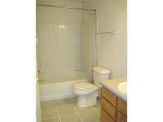 12861 Courage Xing, Fishers IN  46037-5995 exterior