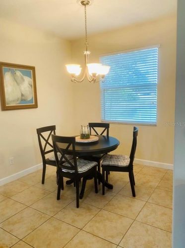 20162 Oakflower Ave, Tampa FL  33647-3648 exterior