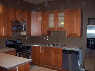 1518 Fernleaf St, Pittsburgh PA  15210-1838 exterior