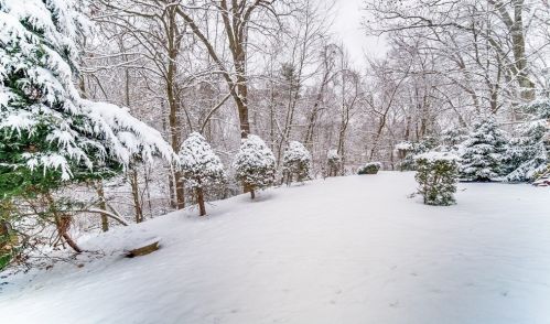 295 Draper St, Springfield MA 01108-2908 exterior