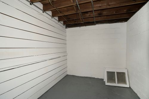 204 Cass St, Berrien Springs MI 49103-1217 exterior