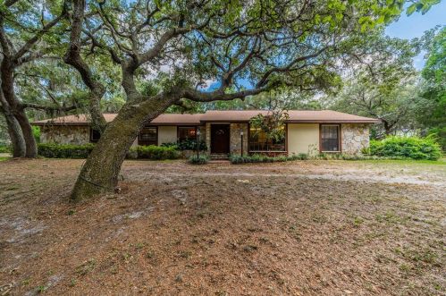 15313 Boyette Rd, Riverview FL 33569-6508 exterior