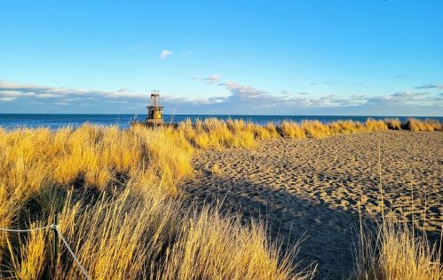 1146 Columbia Ave, Chicago IL 60626-4557 exterior