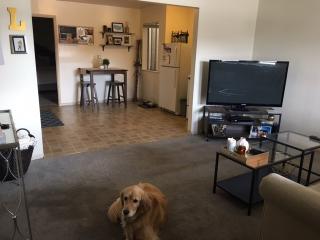 617 Queen Anne Ave, Seattle WA  98109-4062 exterior