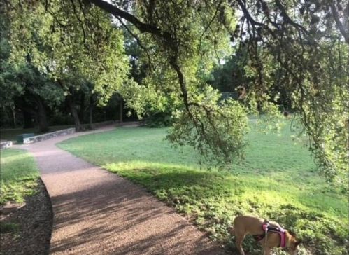 2020 Congress Ave, Austin TX 78704-4315 exterior