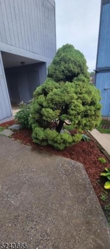 684 Irvington Ave, Maplewood NJ 07040-1623 exterior