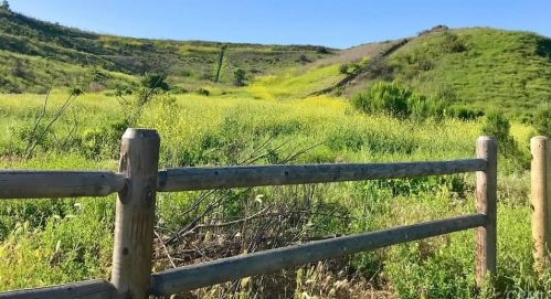 10723 Plumas Way, Tustin CA  92782-4305 exterior