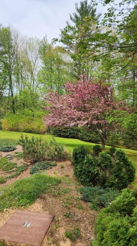 42 Hoit Rd, Concord NH  03301-1803 exterior