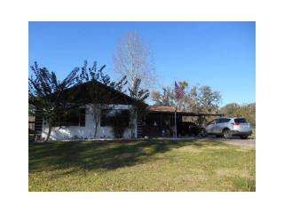 38647 Otis Allen Rd, Zephyrhills, FL 33540-3003
