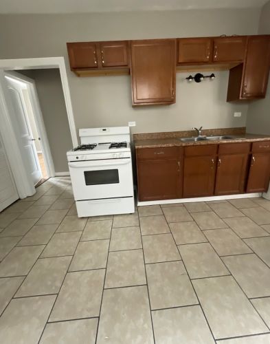 8236 Ellis Ave, Chicago IL 60619-5502 exterior